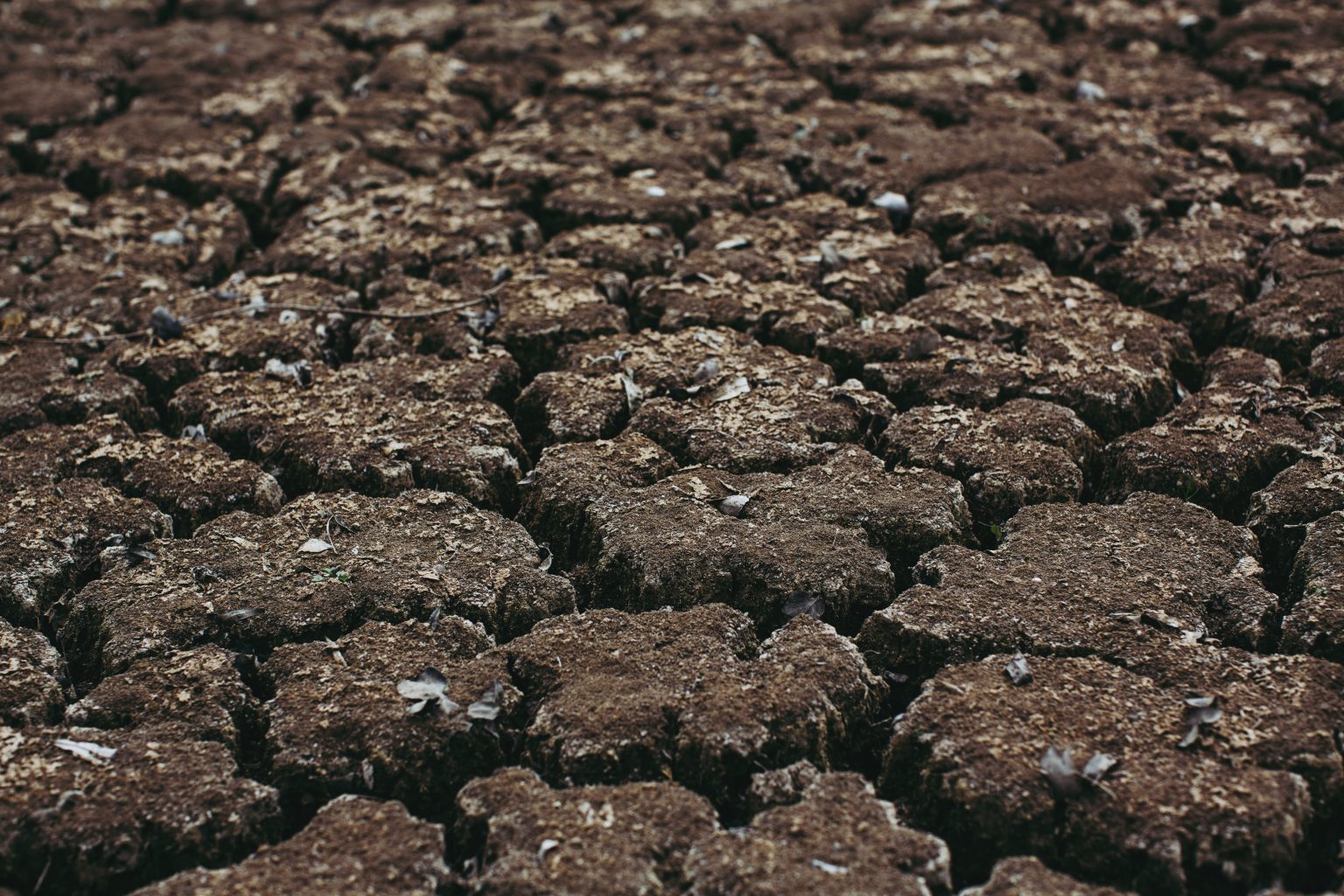 European Drought Observatory: worst drought in the last 500 years