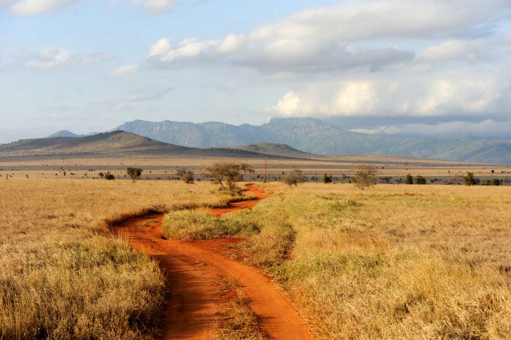 Wilderness Safaris Vumbura Plains Camp set to reopen after extensive refurbishment