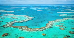 The Great Barrier Reef Eludes UNESCO Ranking