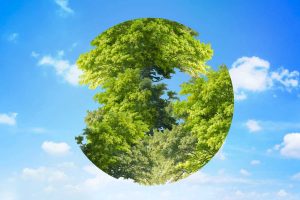 Dassault Systèmes – new hope for the decarbonization of flying