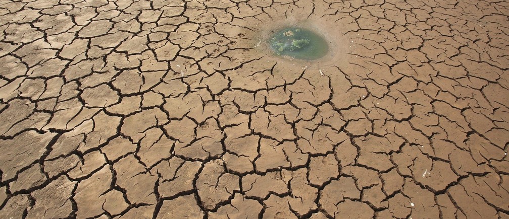 Wildlife in Kenya affected by drought