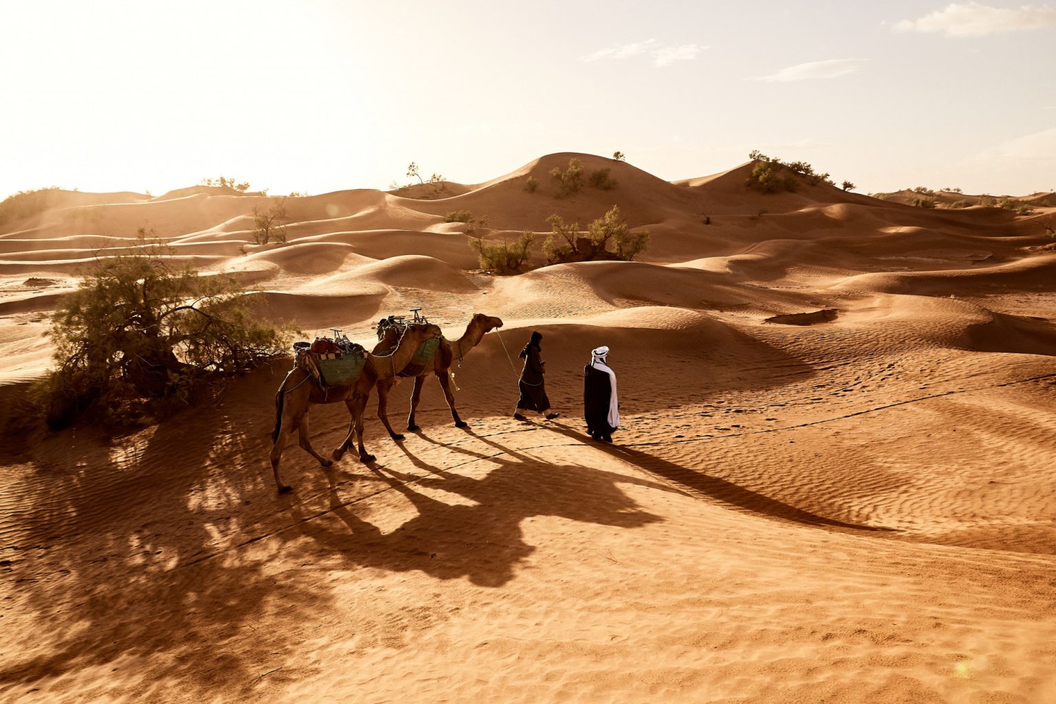 Africa’s tourism sector is on the rise again