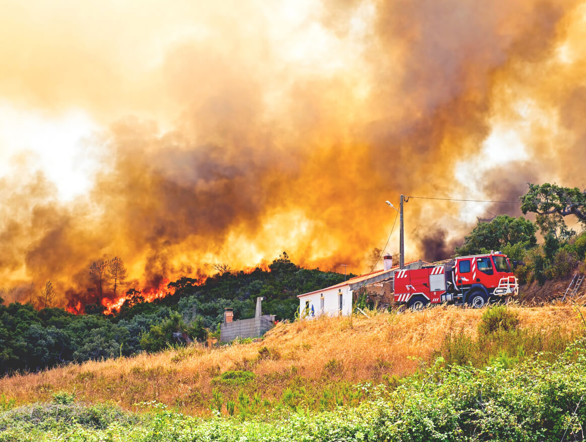 Portugal Ravaged By Wildfires