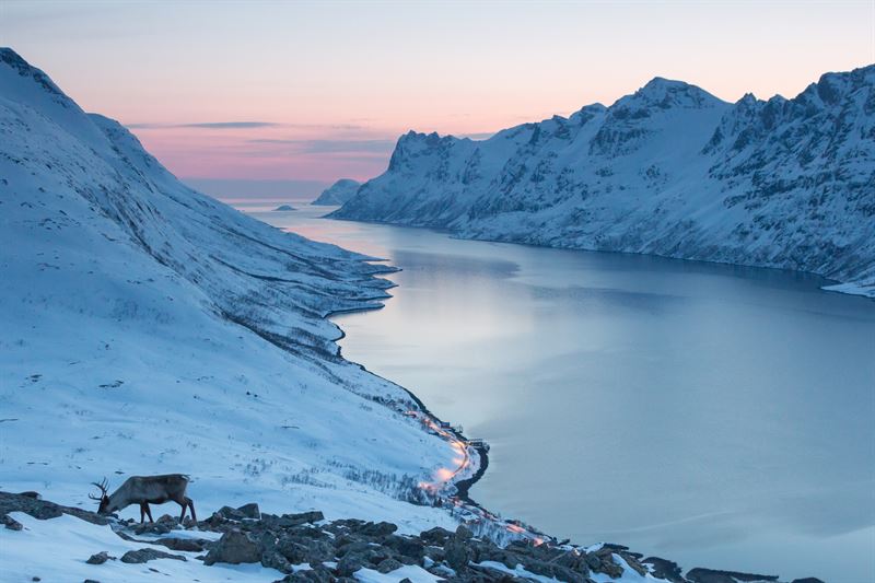 SAS Expands Winter Routes to Scandinavian Destinations