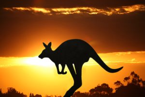 China visitors boost Australian tourism