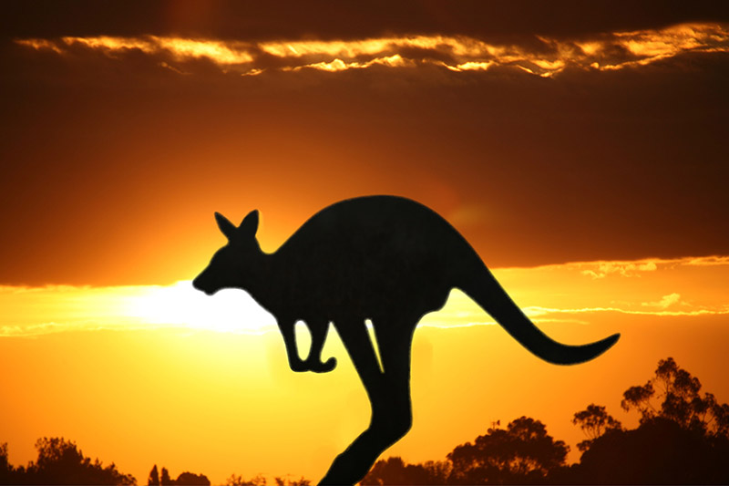 China visitors boost Australian tourism