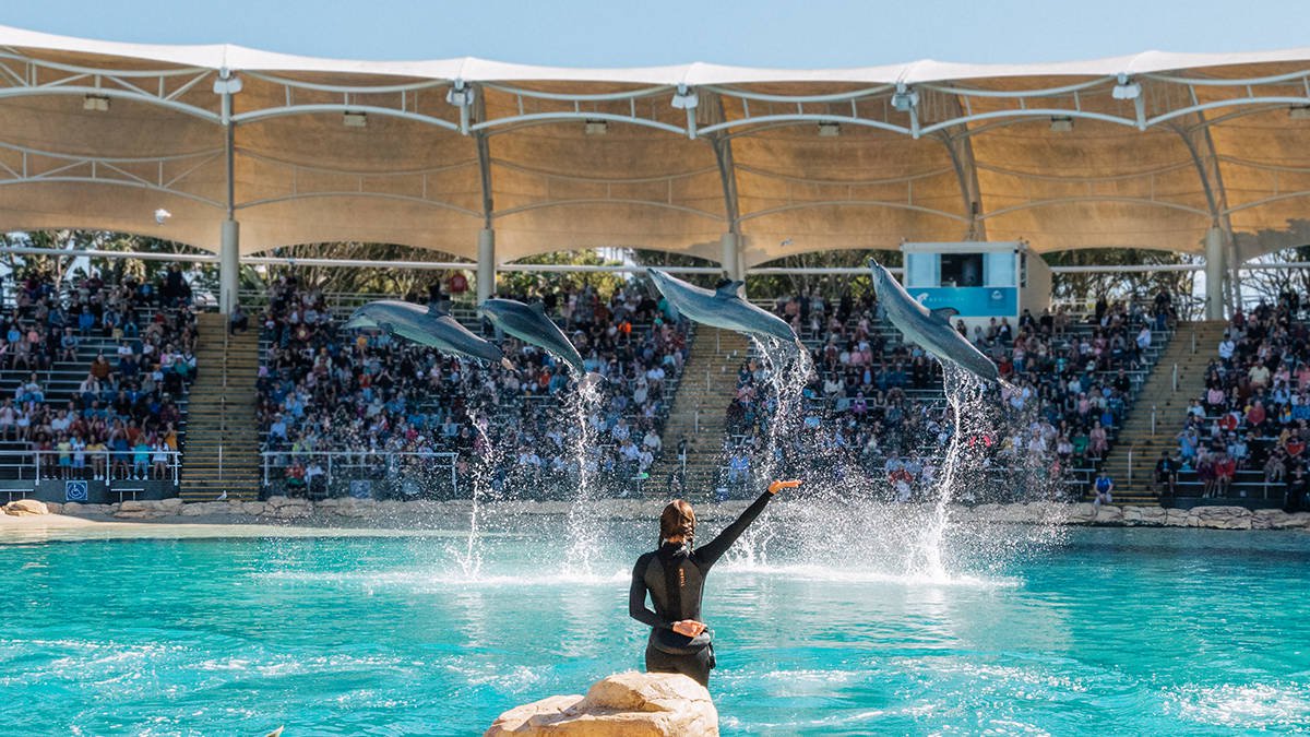 SeaWorld Parent Company Rebrands as United Parks & Resorts