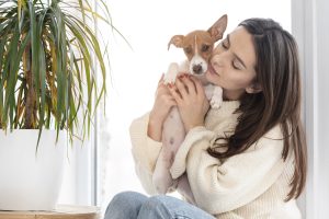 Four Seasons Hotel in London Launches Furry Friends Package