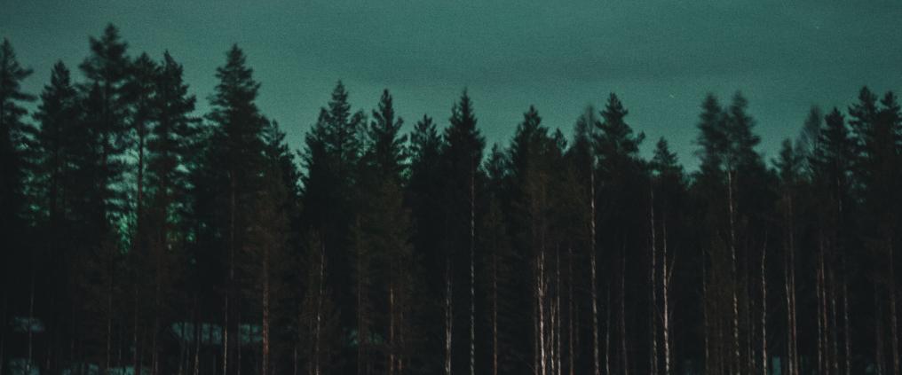 BA Euroflyer Launches London Gatwick to Rovaniemi Flights This Winter
